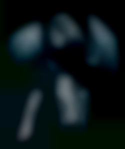 Member Image