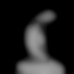 Member Image