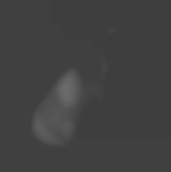 Member Image