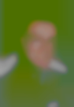 Member Image