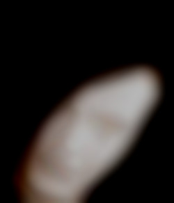 Member Image