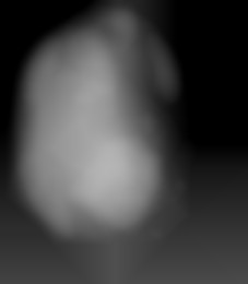 Member Image