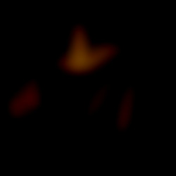 Member Image