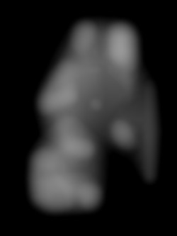 Member Image