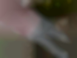 Member Image