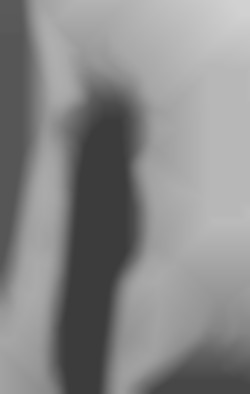 Member Image