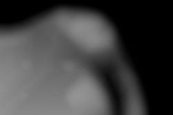 Member Image