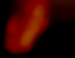 Member Image