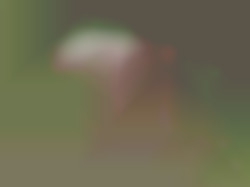 Member Image