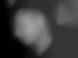 Member Image