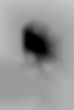 Member Image
