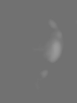 Member Image