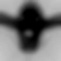 Member Image