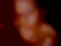 Member Image