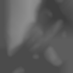 Member Image