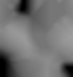 Member Image