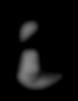 Member Image