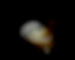Member Image