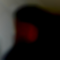 Member Image