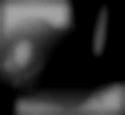 Member Image