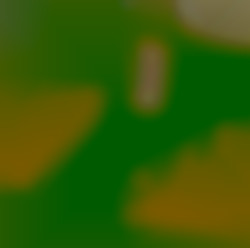 Member Image