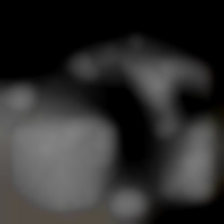 Member Image