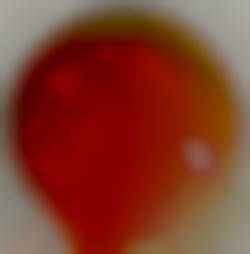 Member Image