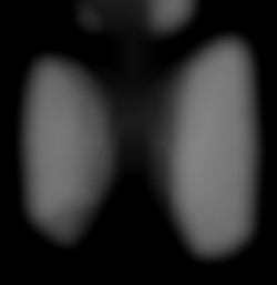 Member Image