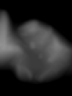 Member Image