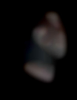 Member Image