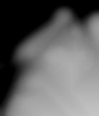 Member Image