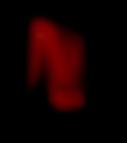 Member Image