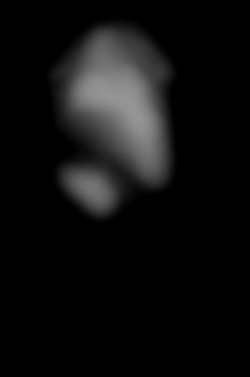 Member Image