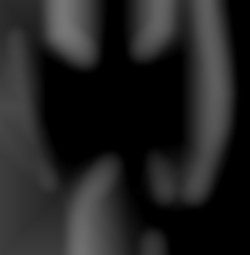 Member Image