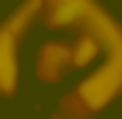 Member Image