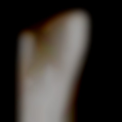 Member Image
