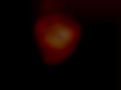 Member Image