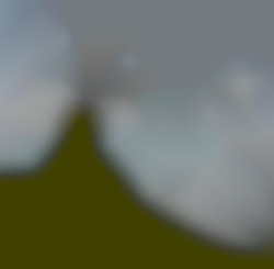 Member Image