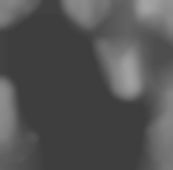 Member Image