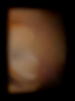 Member Image