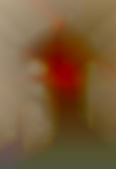 Member Image
