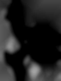 Member Image