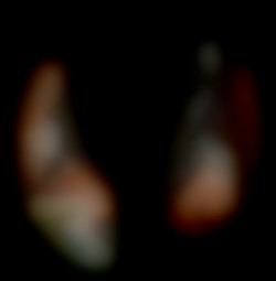 Member Image