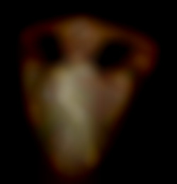 Member Image
