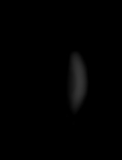 Member Image