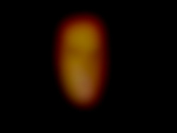 Member Image
