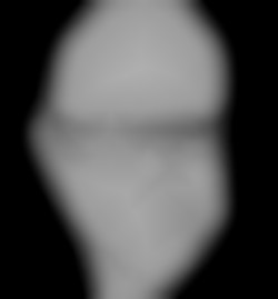 Member Image