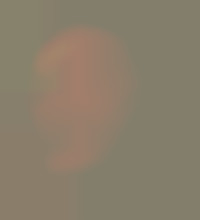 Member Image