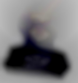 Member Image
