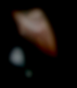 Member Image
